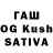 Псилоцибиновые грибы мухоморы Sage Smith