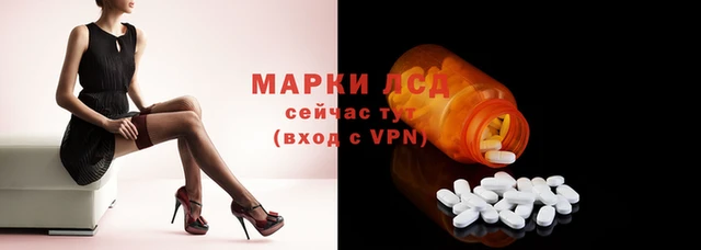 винт Бородино